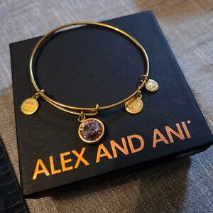 Womans Bracelet Alex and Ani Purple Stone